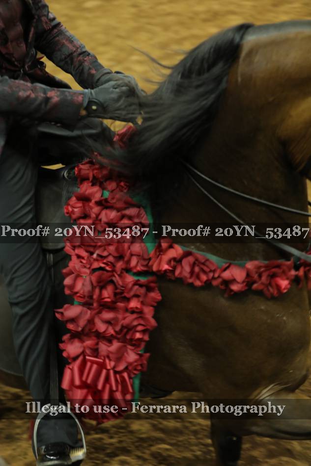 Proof 20YN_53487