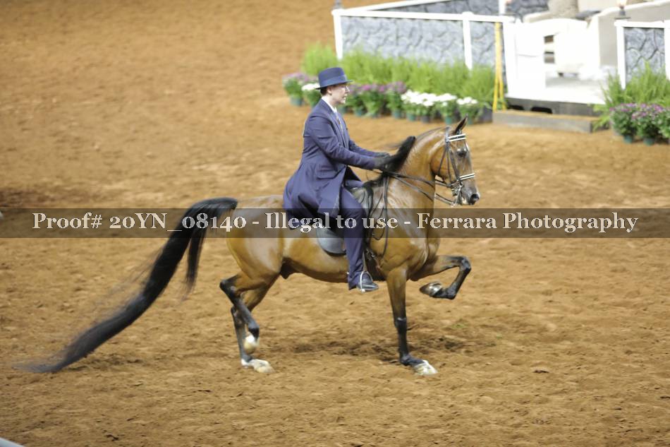 Proof 20YN_08140