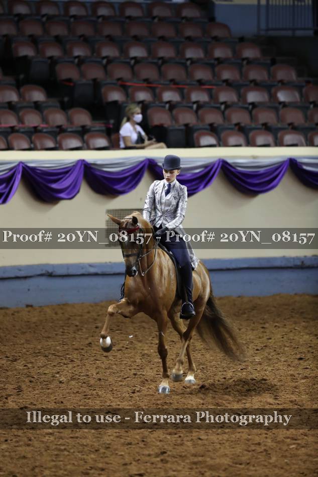 Proof 20YN_08157