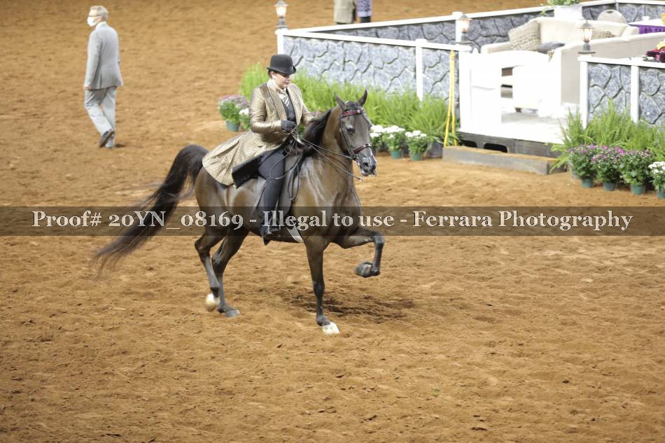 Proof 20YN_08169