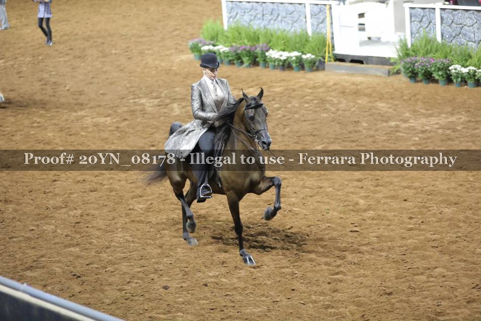 Proof 20YN_08178