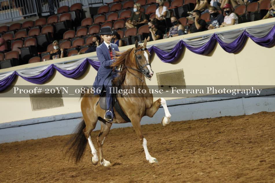Proof 20YN_08186