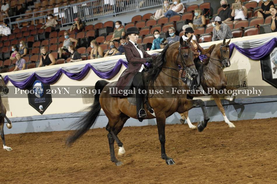 Proof 20YN_08191