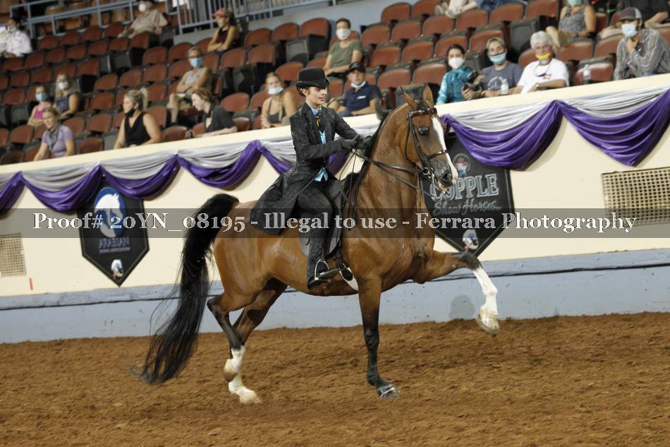 Proof 20YN_08195