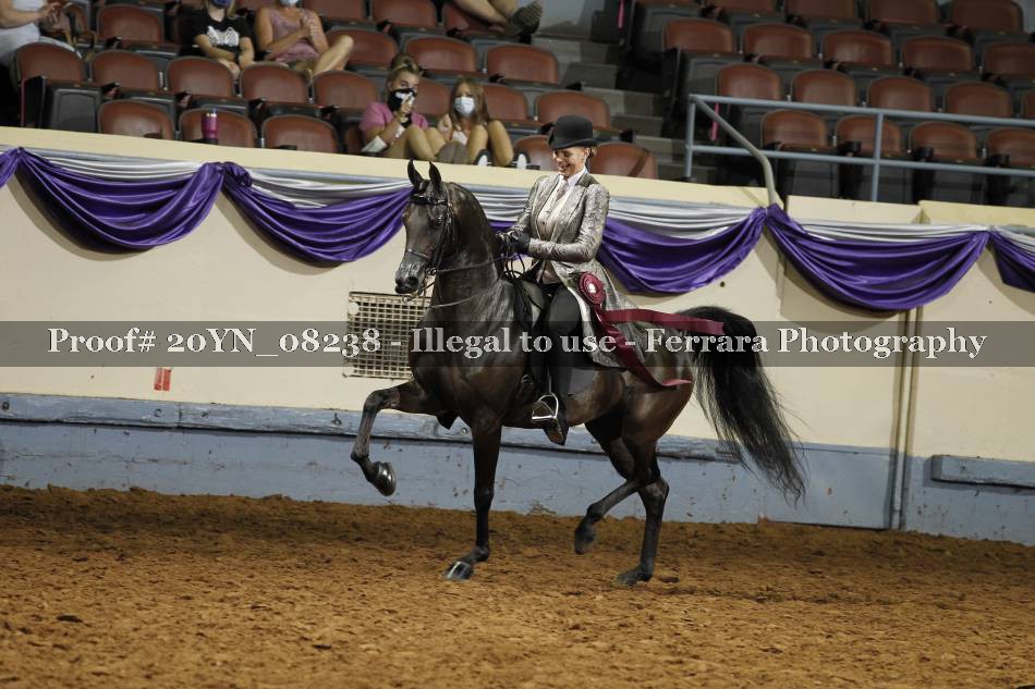 Proof 20YN_08238