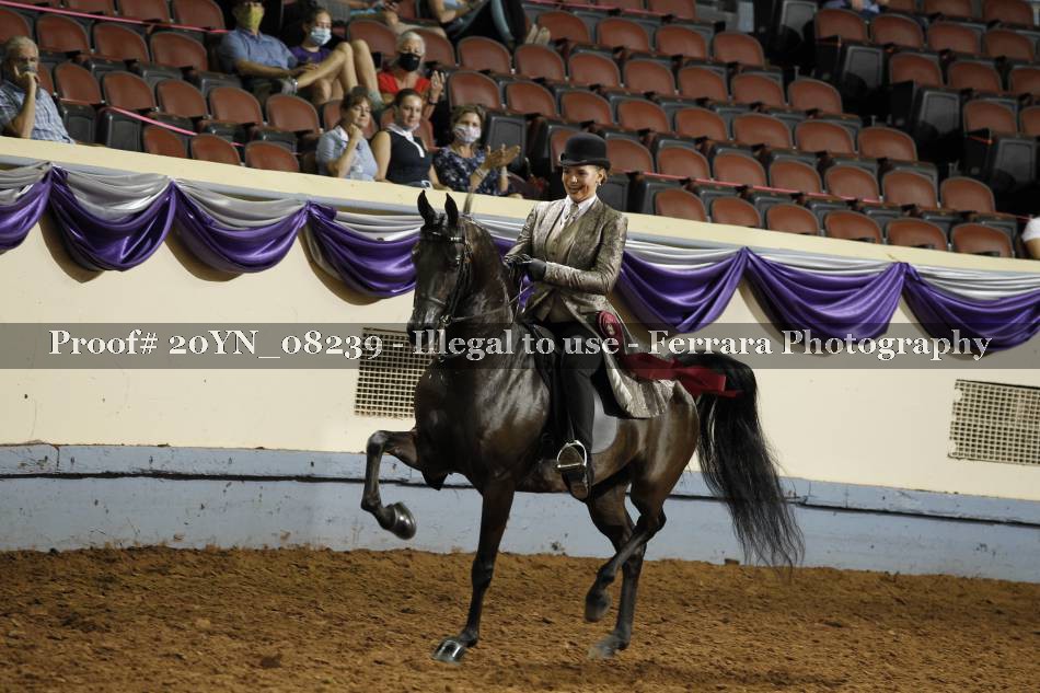 Proof 20YN_08239