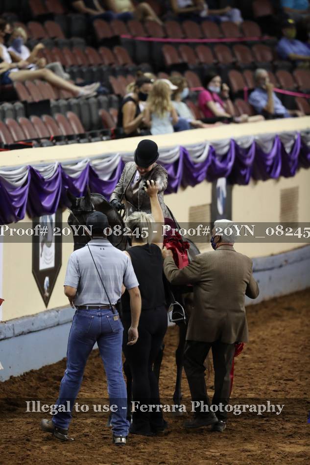 Proof 20YN_08245