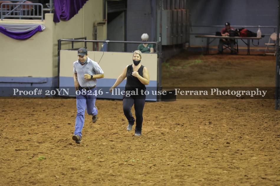 Proof 20YN_08246