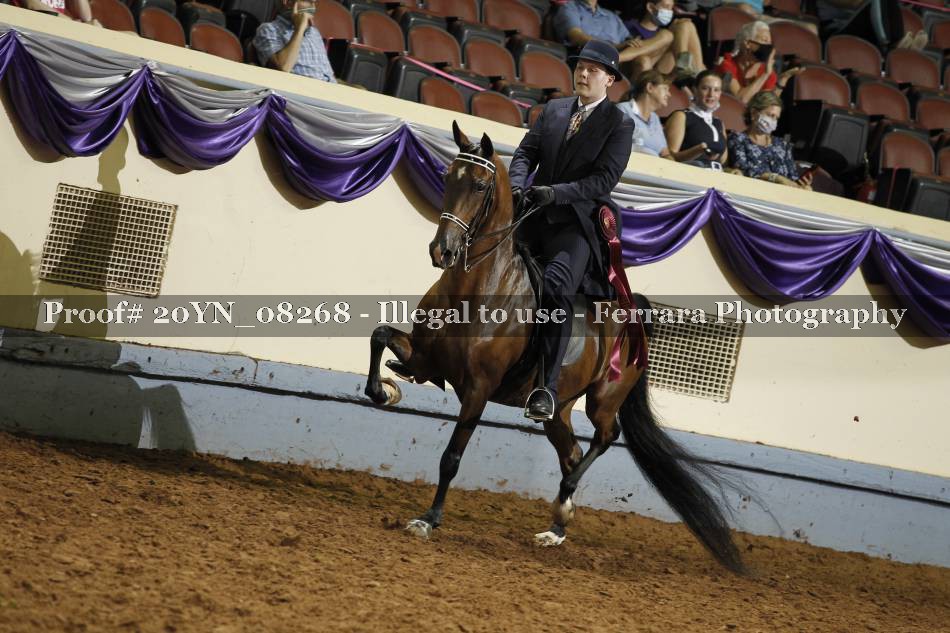 Proof 20YN_08268