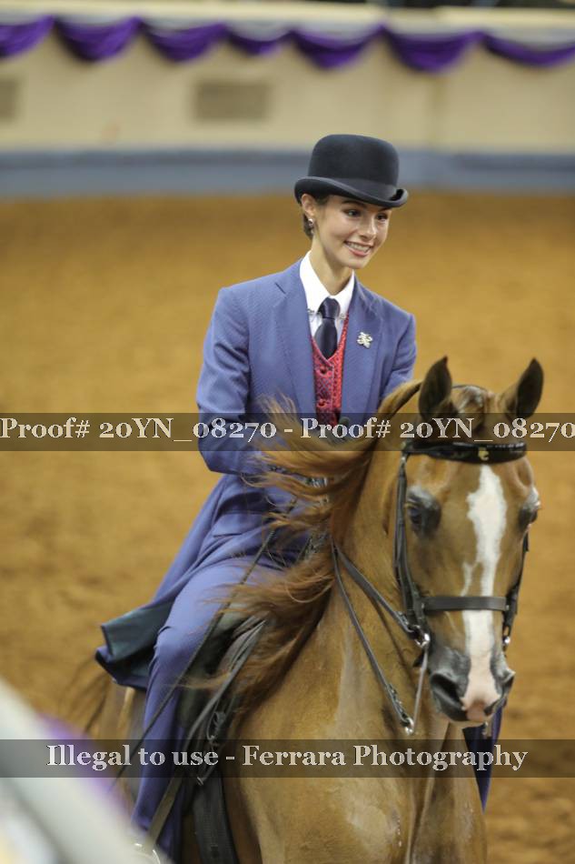 Proof 20YN_08270