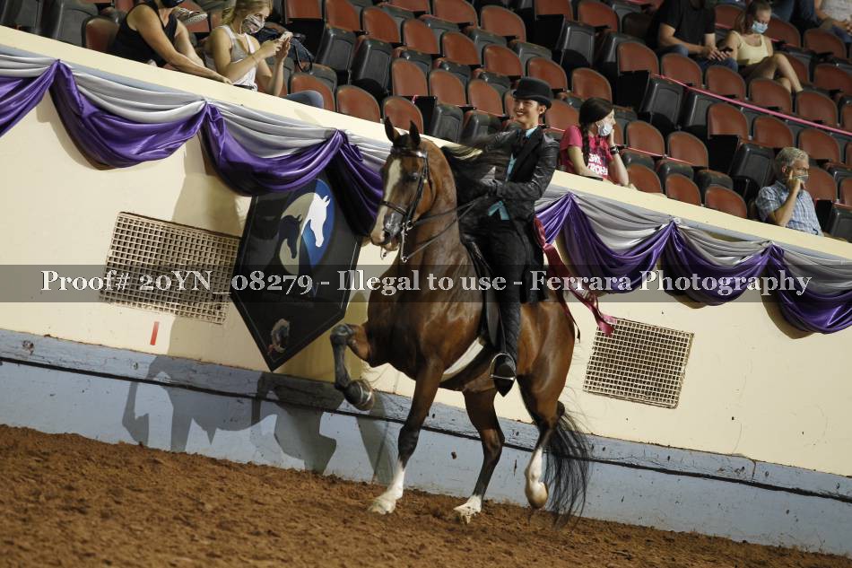 Proof 20YN_08279