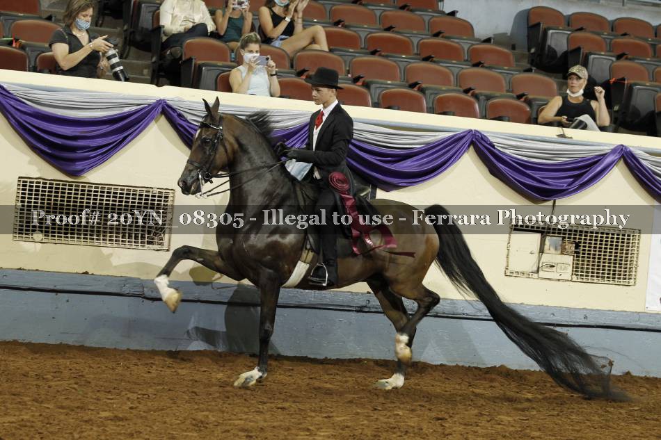Proof 20YN_08305