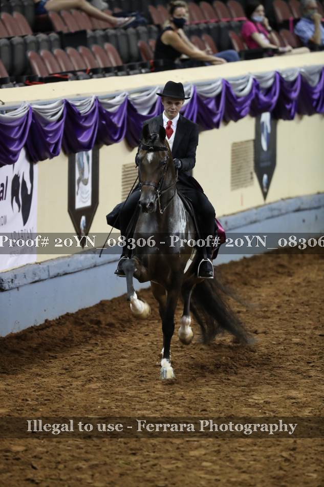 Proof 20YN_08306