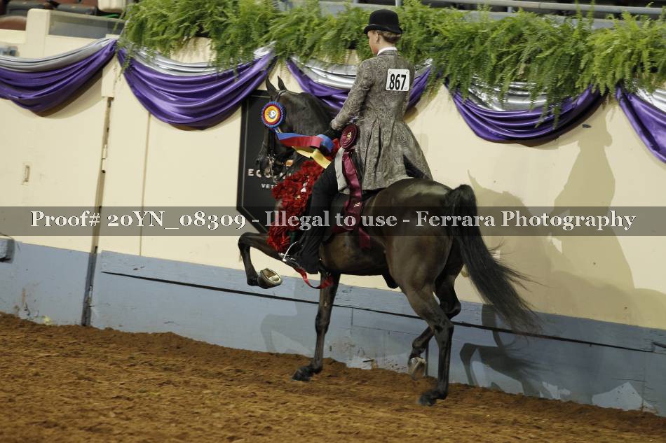 Proof 20YN_08309