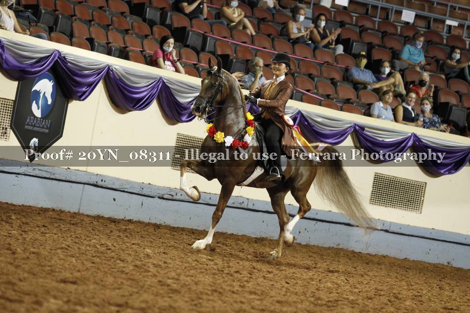 Proof 20YN_08311