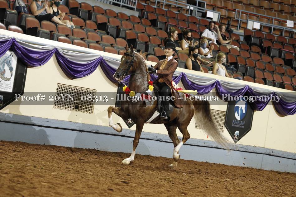 Proof 20YN_08313