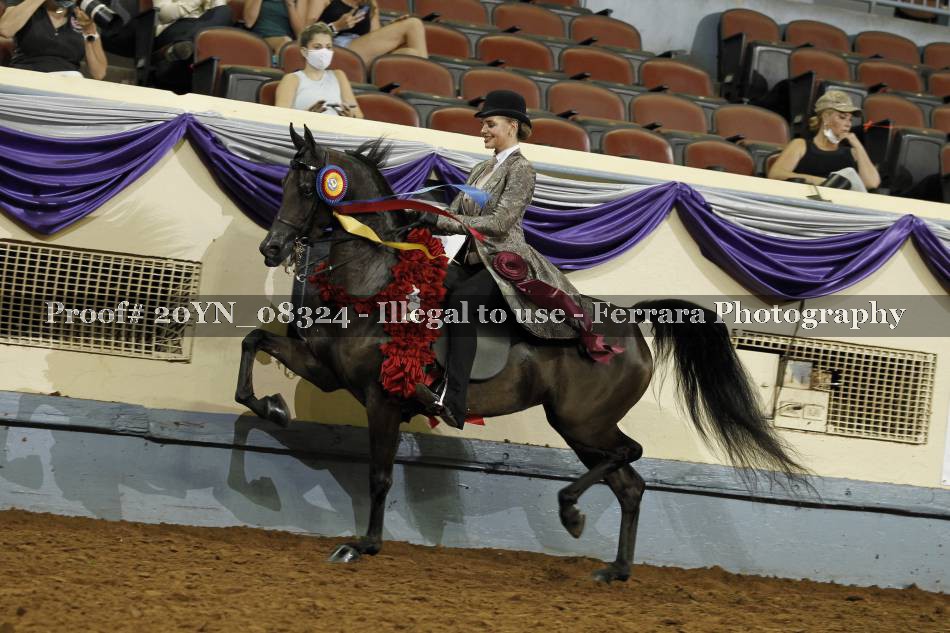 Proof 20YN_08324
