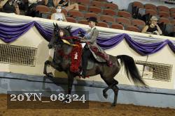 20YN_08324 proof