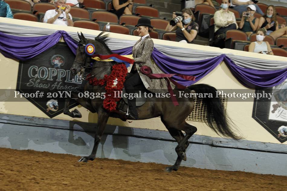 Proof 20YN_08325
