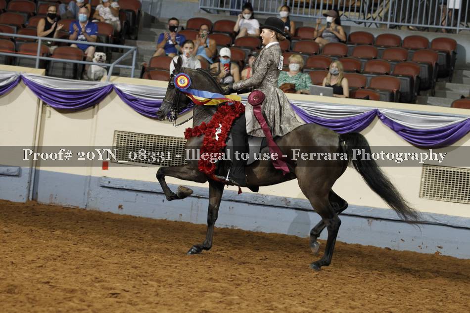 Proof 20YN_08331