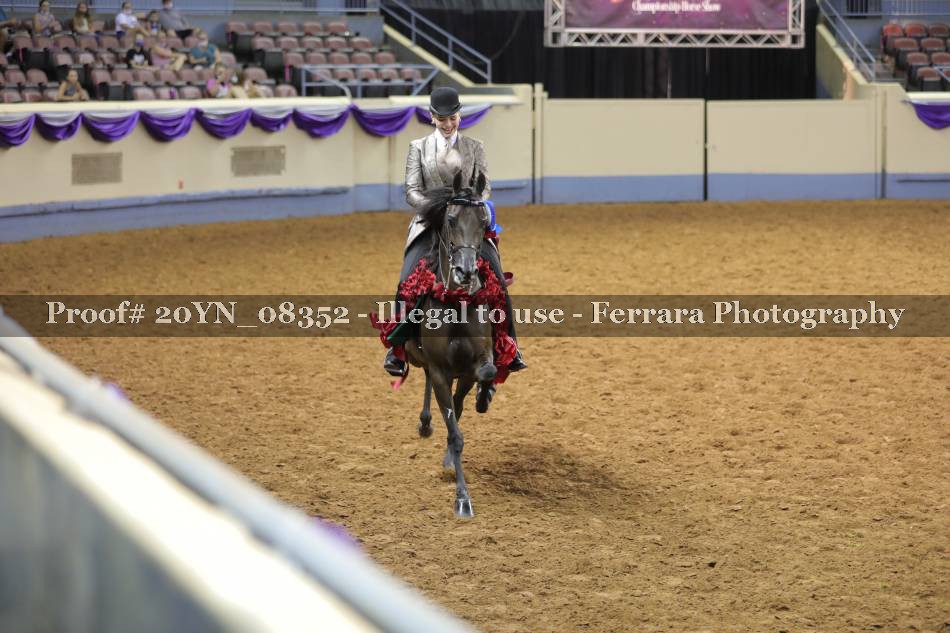 Proof 20YN_08352