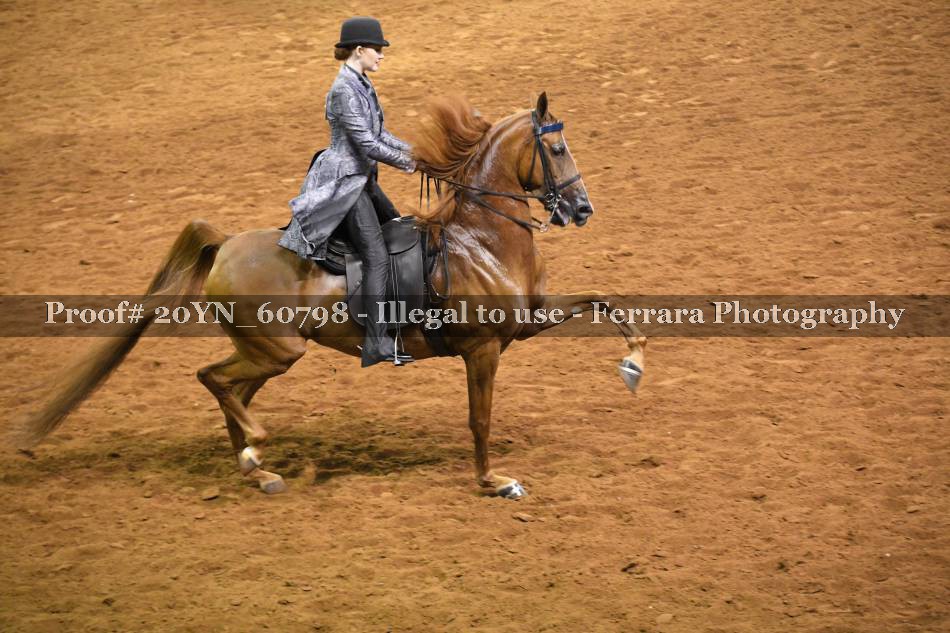 Proof 20YN_60798