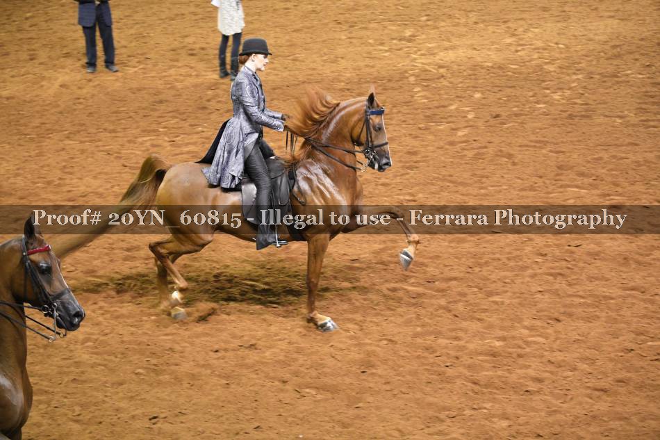 Proof 20YN_60815