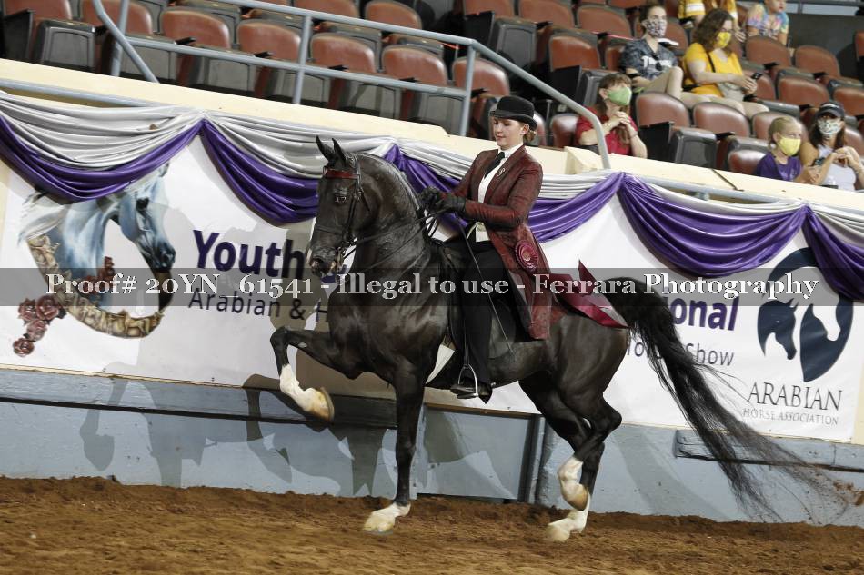 Proof 20YN_61541