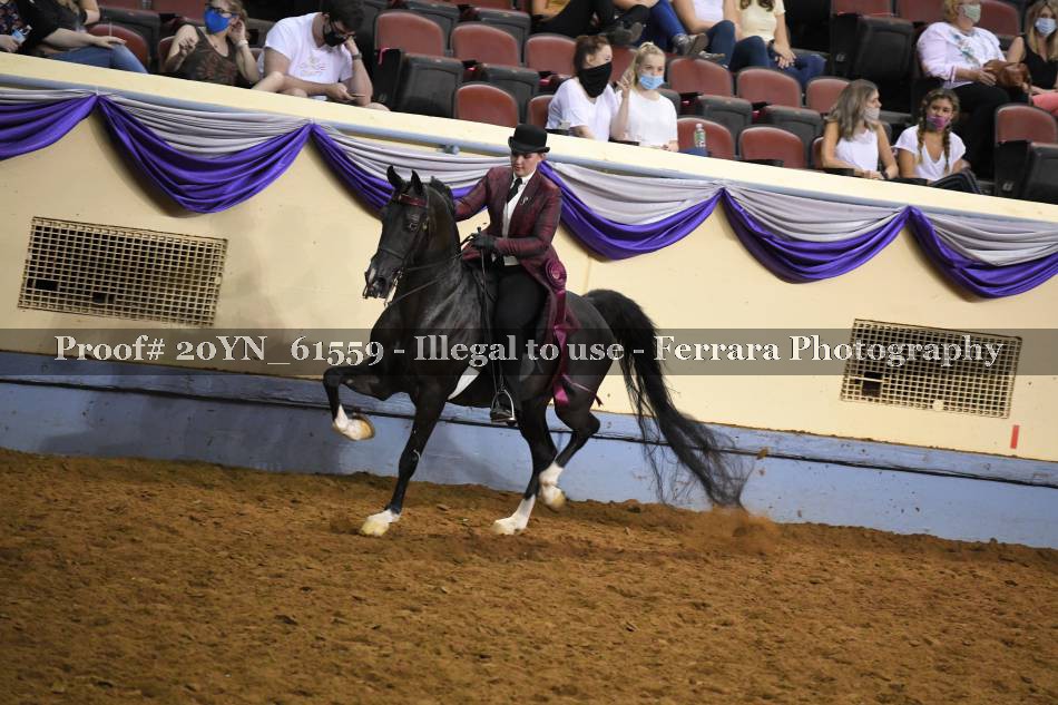 Proof 20YN_61559
