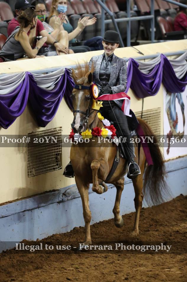 Proof 20YN_61560