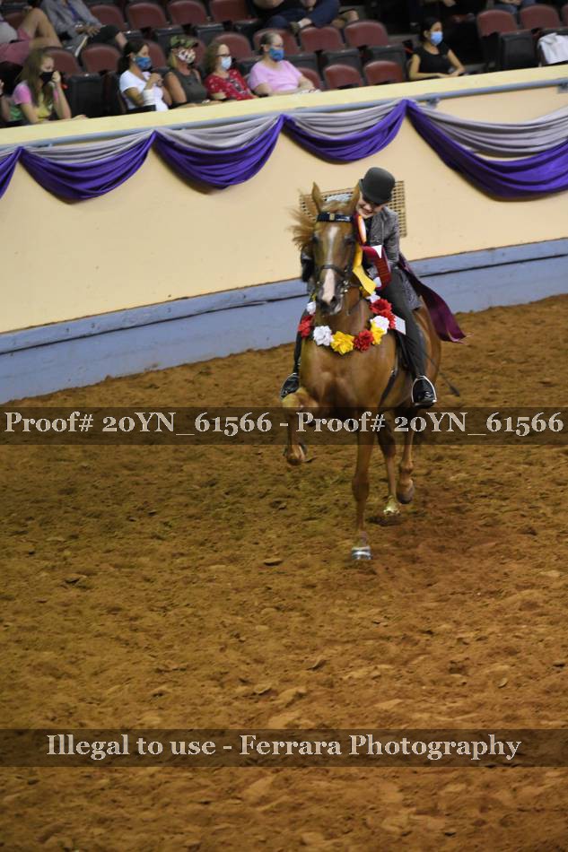 Proof 20YN_61566