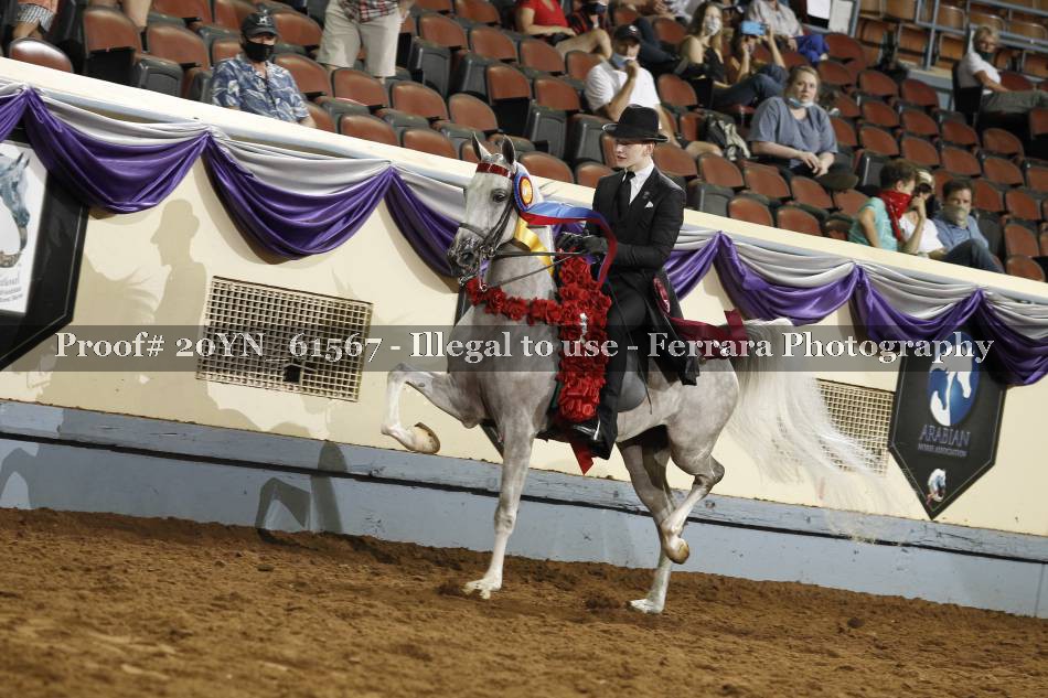 Proof 20YN_61567