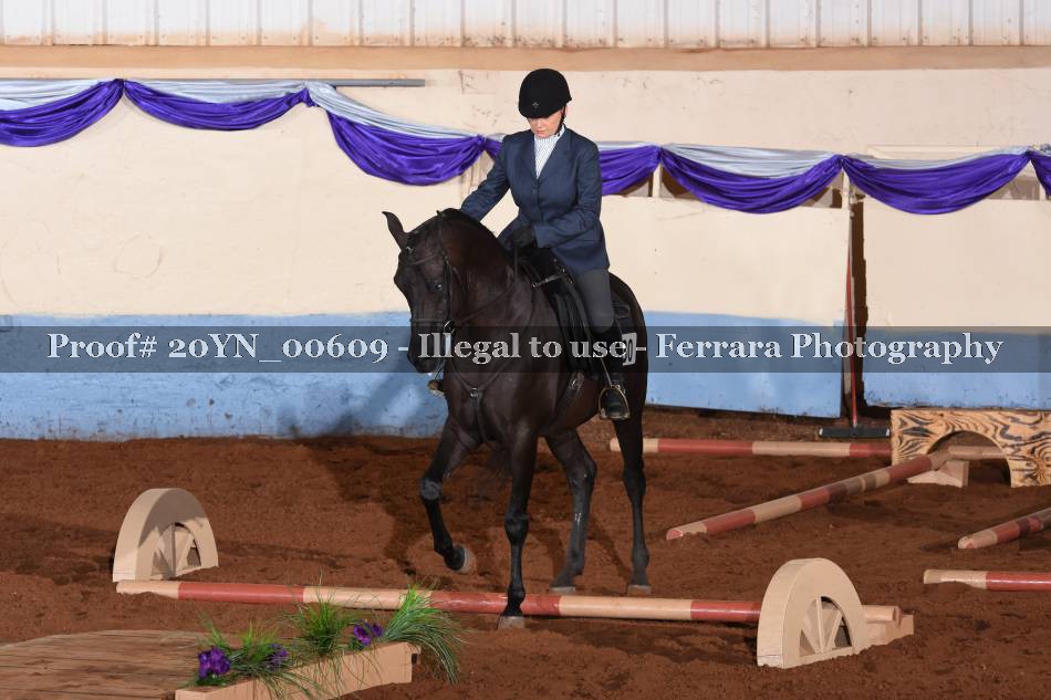 Proof 20YN_00609