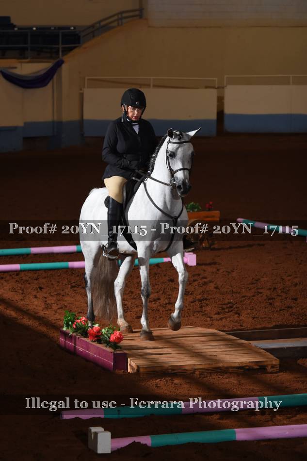Proof 20YN_17115