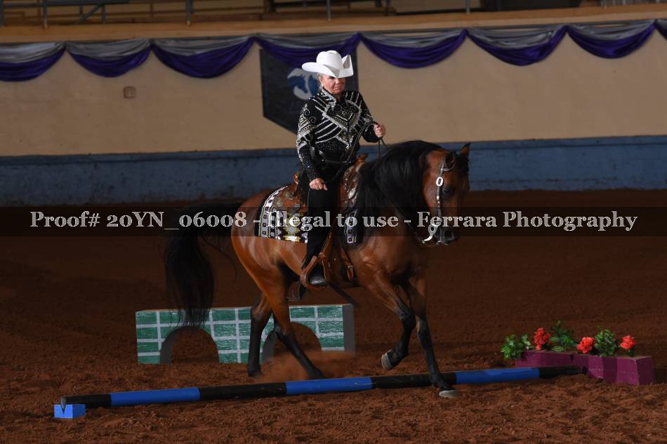 Proof 20YN_06008