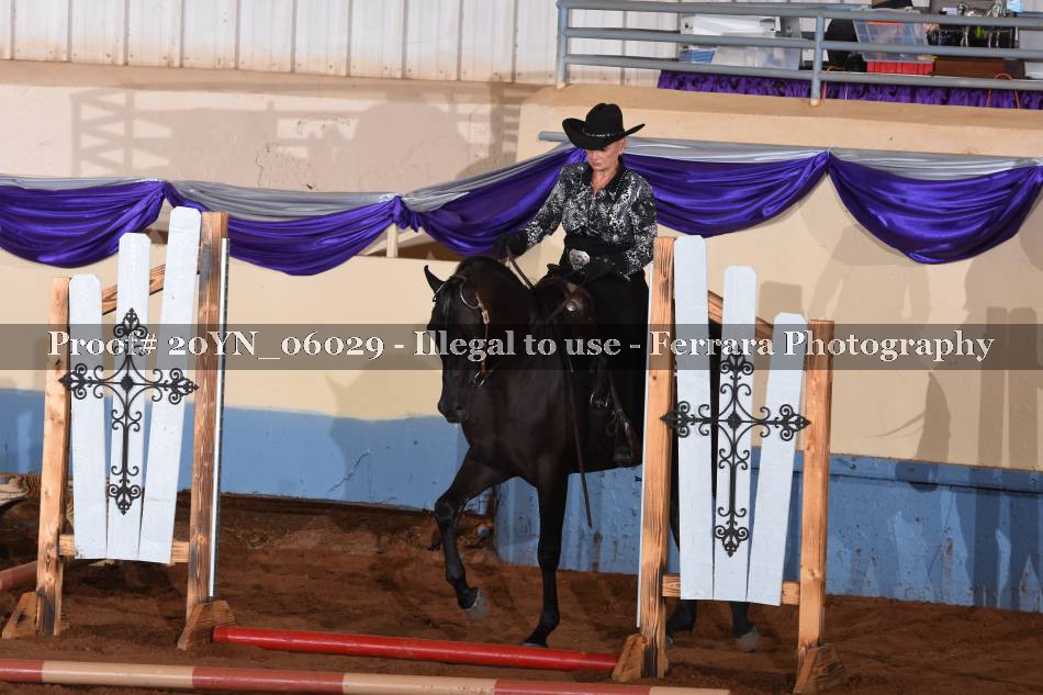 Proof 20YN_06029