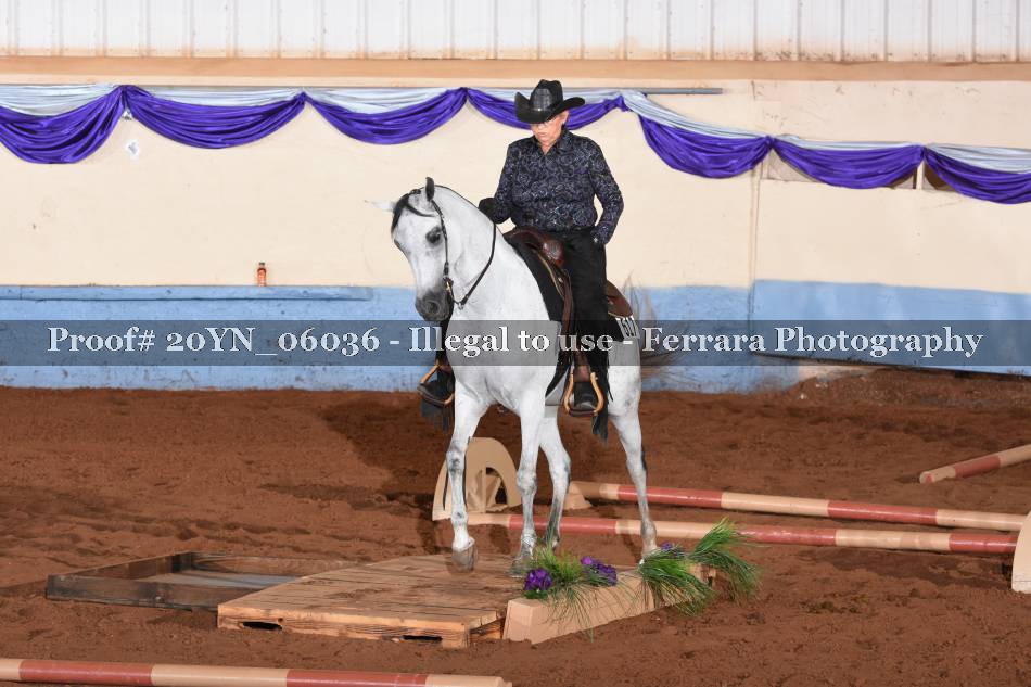 Proof 20YN_06036
