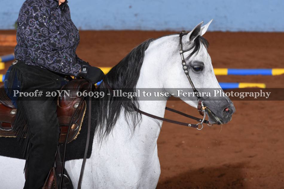 Proof 20YN_06039