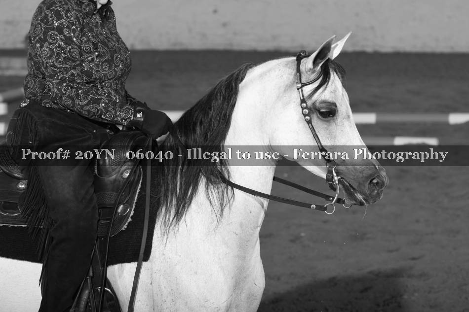 Proof 20YN_06040