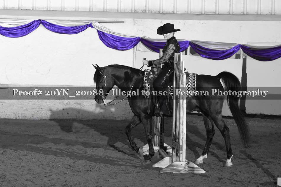 Proof 20YN_20088