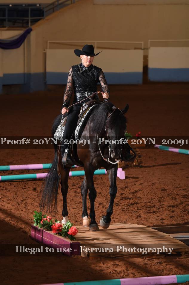 Proof 20YN_20091