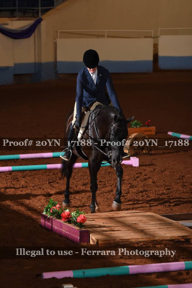 Proof 20YN_17188