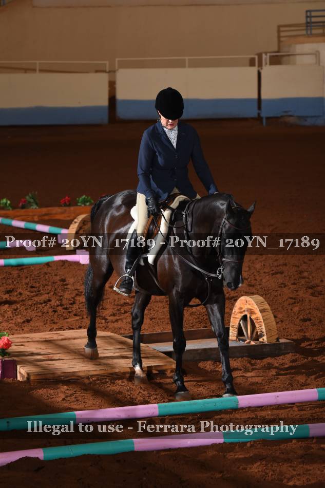 Proof 20YN_17189