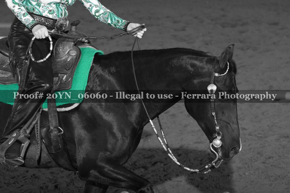 Proof 20YN_06060