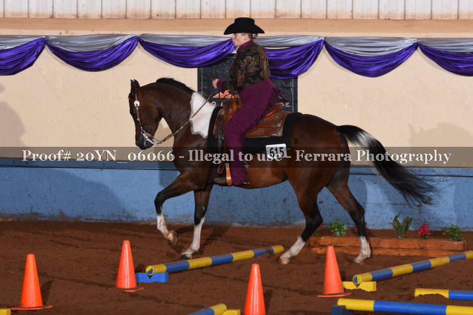 Proof 20YN_06066
