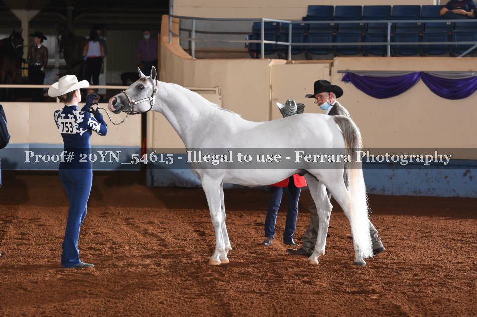 Proof 20YN_54615