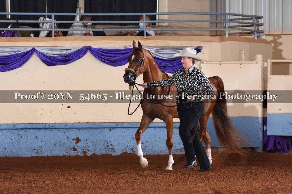 Proof 20YN_54665