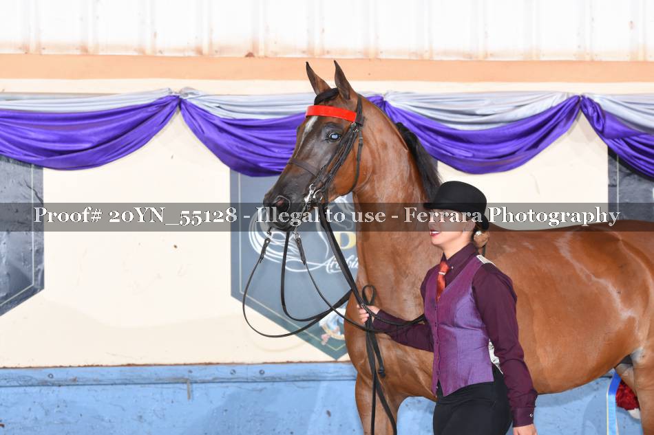 Proof 20YN_55128