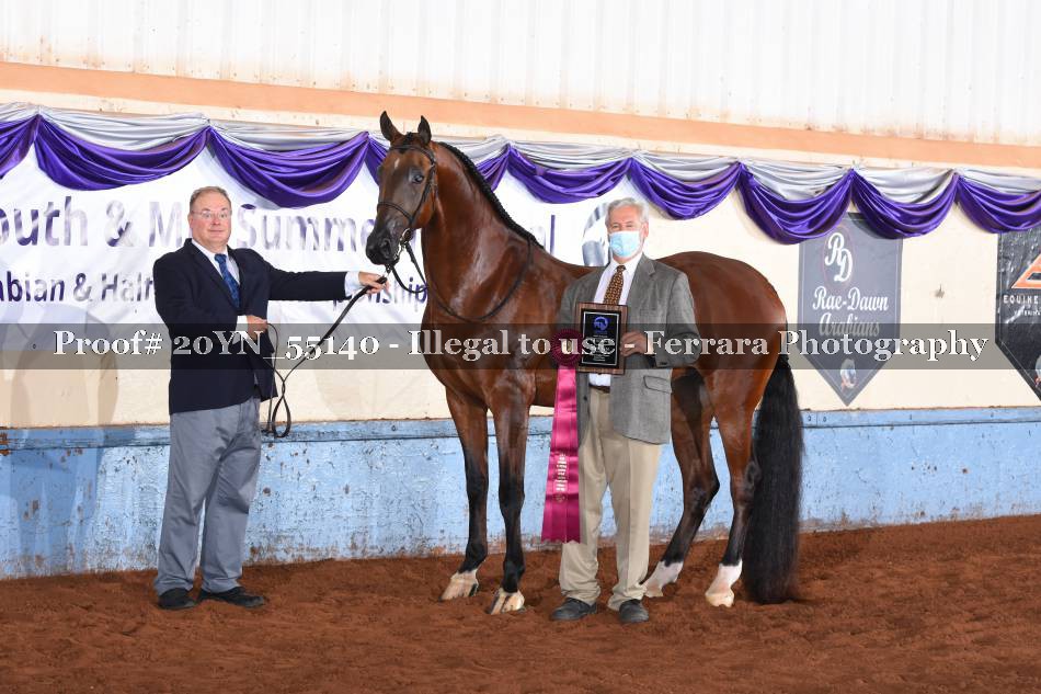 Proof 20YN_55140