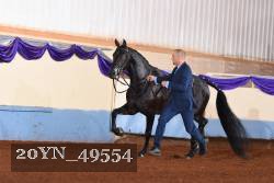 20YN_49554 proof